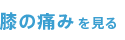 膝の痛みを見る